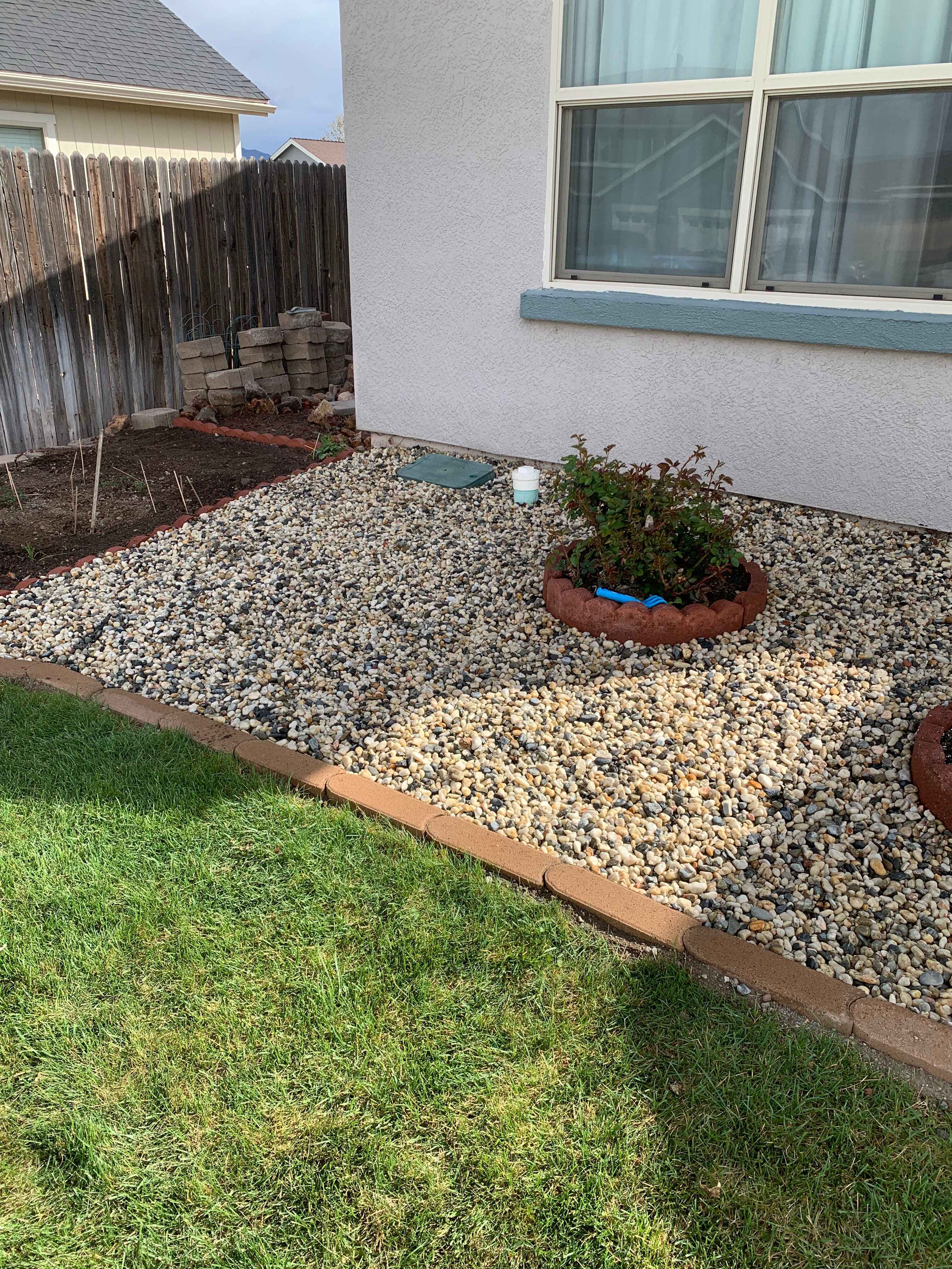 Xeriscaping